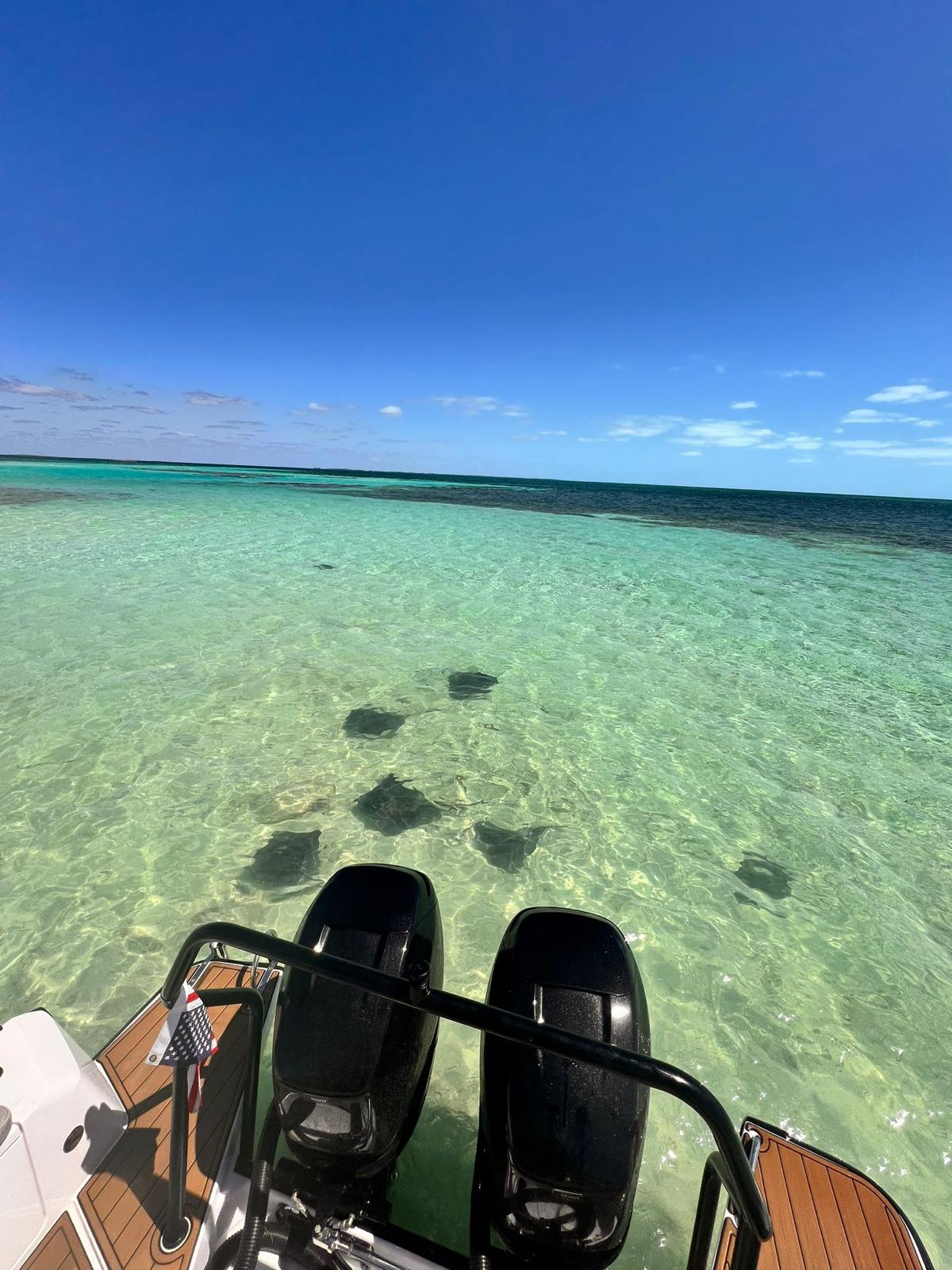 Experiencia en Bimini, Bahamas