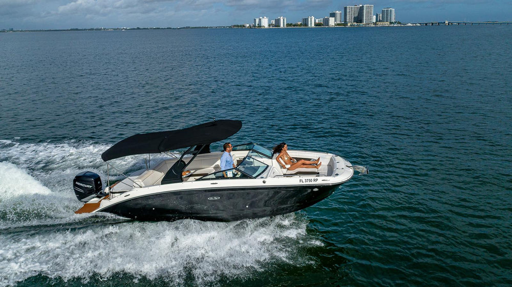 Sea Ray 29