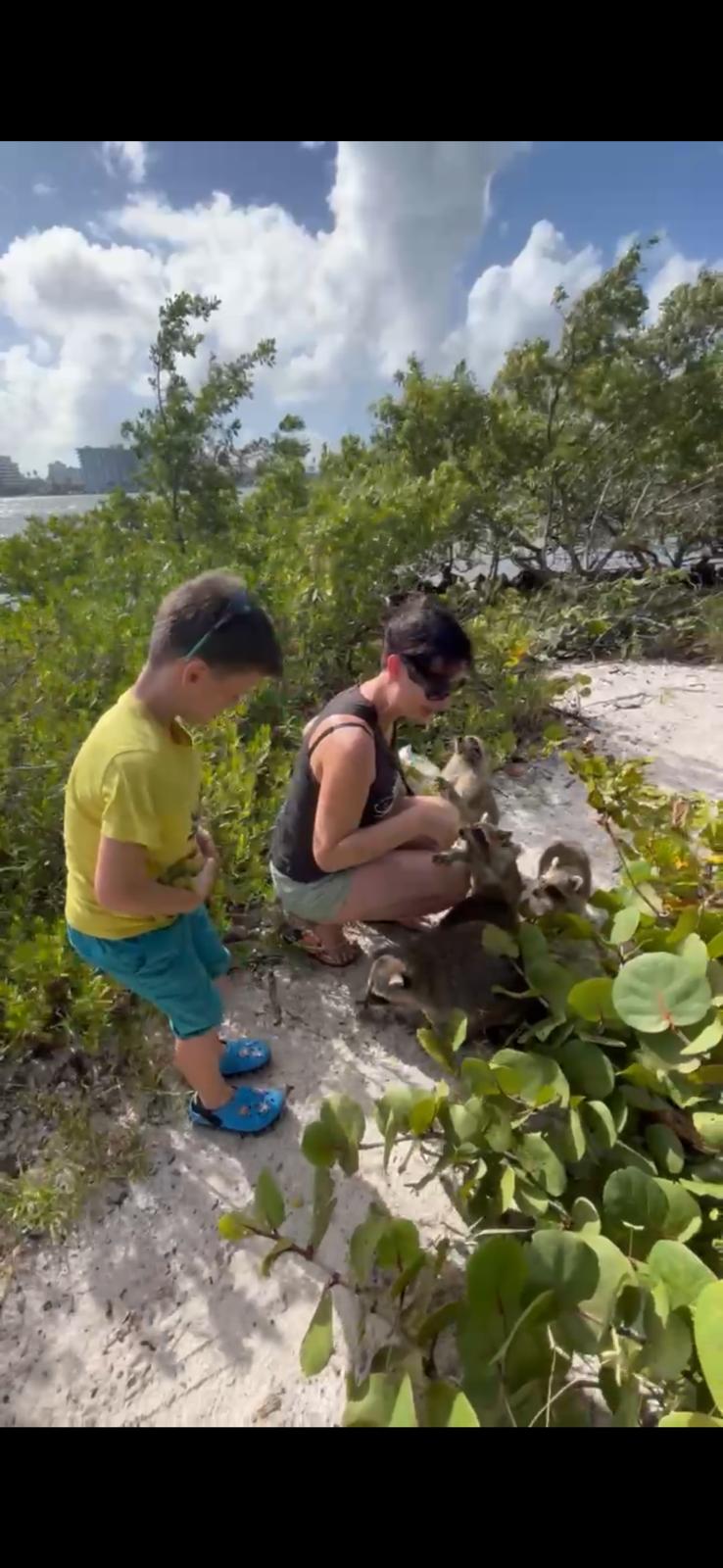 Tour por la isla Raccoon