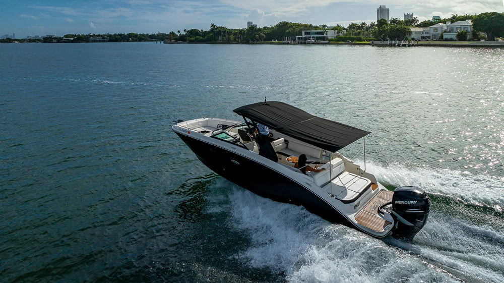 Sea Ray 29 ft.