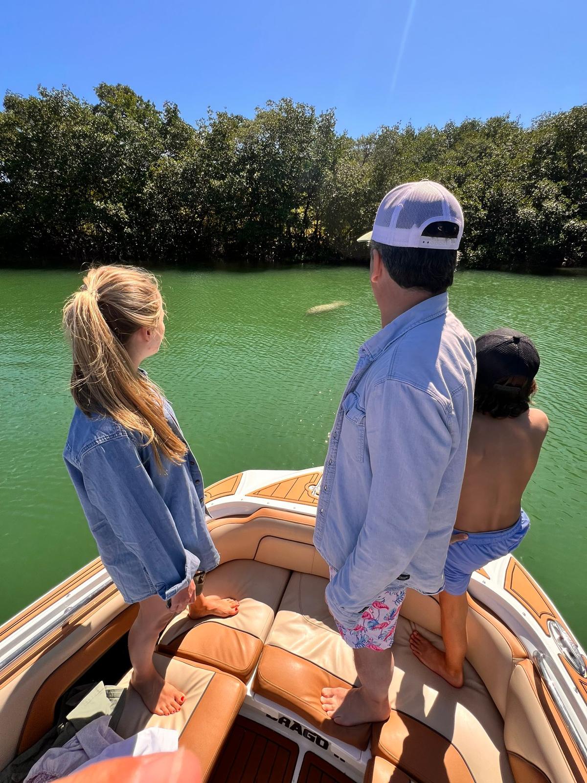 Recorrido en barco ecológico por Miami