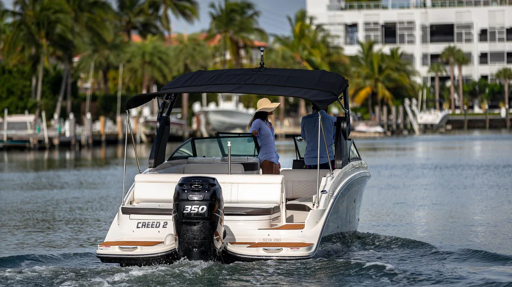 Sea Ray 29 ft.