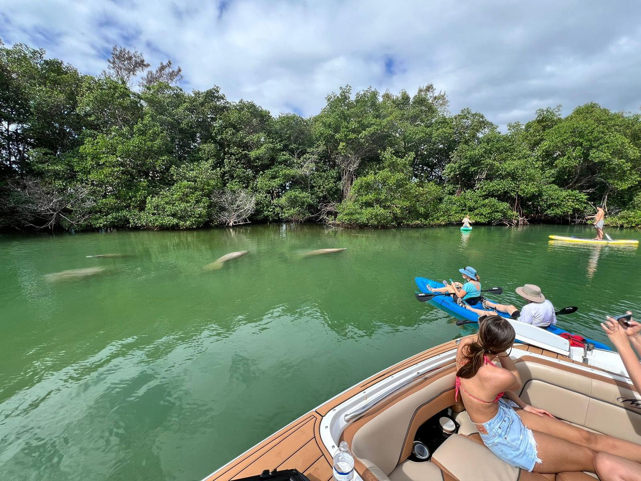 Recorrido en barco ecológico por Miami